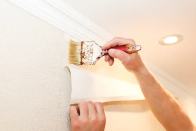 Pose de papier peint à Valdeblore — revêtements muraux et toiles de verre